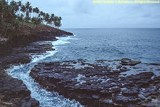 basalt coast